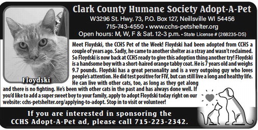 recordgleaner_20231004_trg-2023-10-04-0-007_art_1.xml