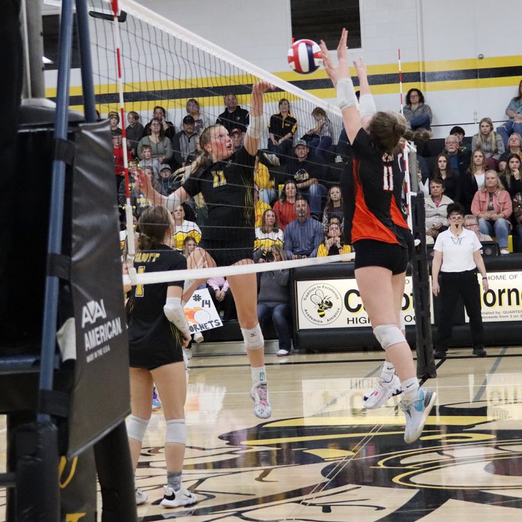 Hornets reach Regional championship title game Hornets reach Regional championship title game