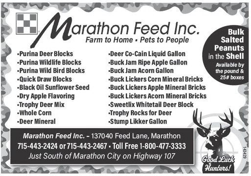 starnews_20231109_tsn-2023-11-09-c-010_art_1.xml