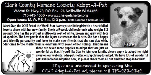 recordgleaner_20231129_trg-2023-11-29-0-007_art_1.xml