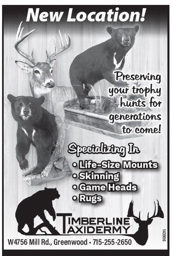 starnews_20231109_tsn-2023-11-09-c-017_art_8.xml