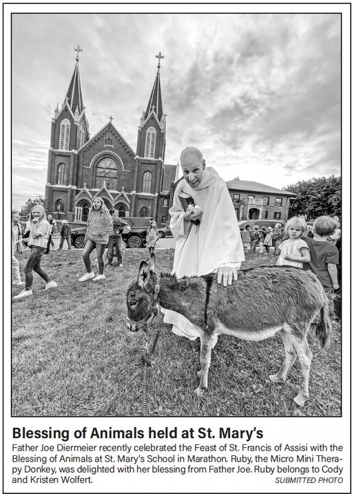 recordreview_20231101_trr-2023-11-01-0-005_art_3.xml