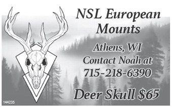 starnews_20231109_tsn-2023-11-09-c-008_art_1.xml