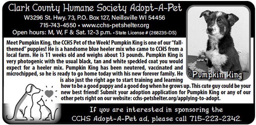 recordgleaner_20231108_trg-2023-11-08-a-015_art_3.xml