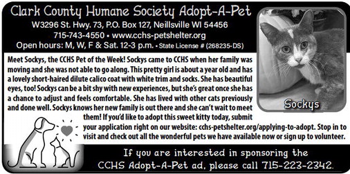 recordgleaner_20231115_trg-2023-11-15-0-020_art_2.xml