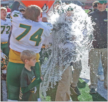 Wildcats capture D-7 state title