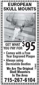 starnews_20231109_tsn-2023-11-09-c-018_art_8.xml