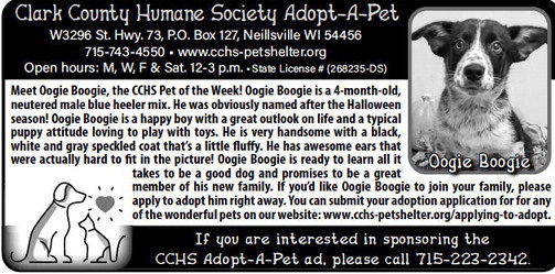 recordgleaner_20231206_trg-2023-12-06-0-018_art_2.xml