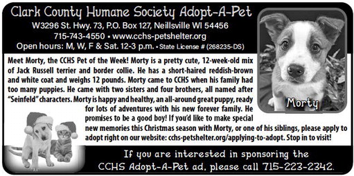 recordgleaner_20231227_trg-2023-12-27-0-009_art_4.xml