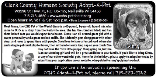 recordgleaner_20231213_trg-2023-12-13-0-017_art_1.xml