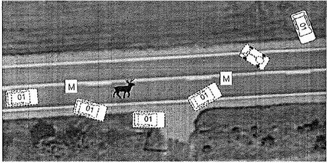 Crash Reports