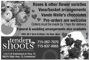 recordgleaner_20240131_trg-2024-01-31-0-018_art_4.xml