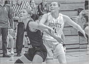 Hornets bested in pair of Cloverbelt tests Hornets bested in pair of Cloverbelt tests