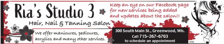 recordgleaner_20240124_trg-2024-01-24-a-011_art_2.xml