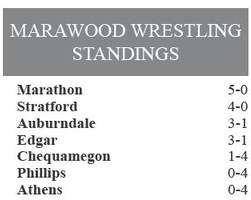 recordreview_20240103_trr-2024-01-03-0-011_art_3.xml