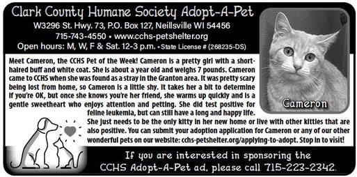 recordgleaner_20240117_trg-2024-01-17-0-020_art_2.xml