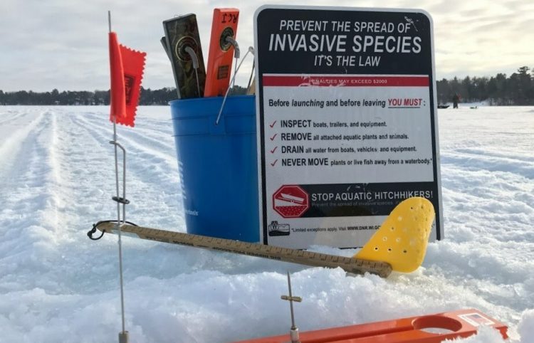 Protect state’s waters from invasive species