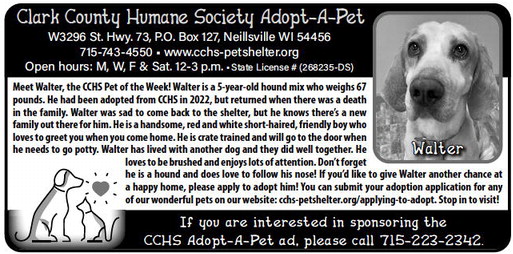 recordgleaner_20240207_trg-2024-02-07-0-023_art_5.xml