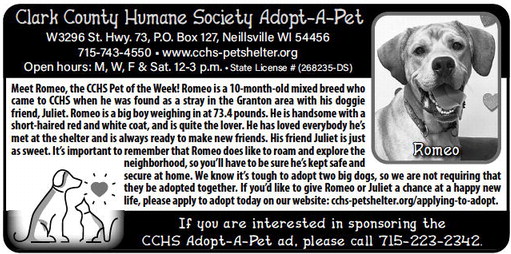 recordgleaner_20240228_trg-2024-02-28-0-012_art_1.xml