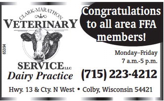 recordgleaner_20240221_trg-2024-02-21-b-011_art_3.xml