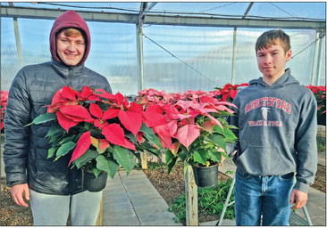 Greenhouse has been good educational, financial resource for students