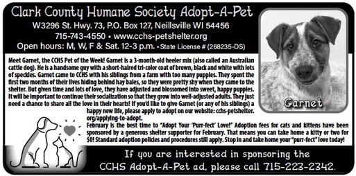 recordgleaner_20240221_trg-2024-02-21-a-006_art_4.xml