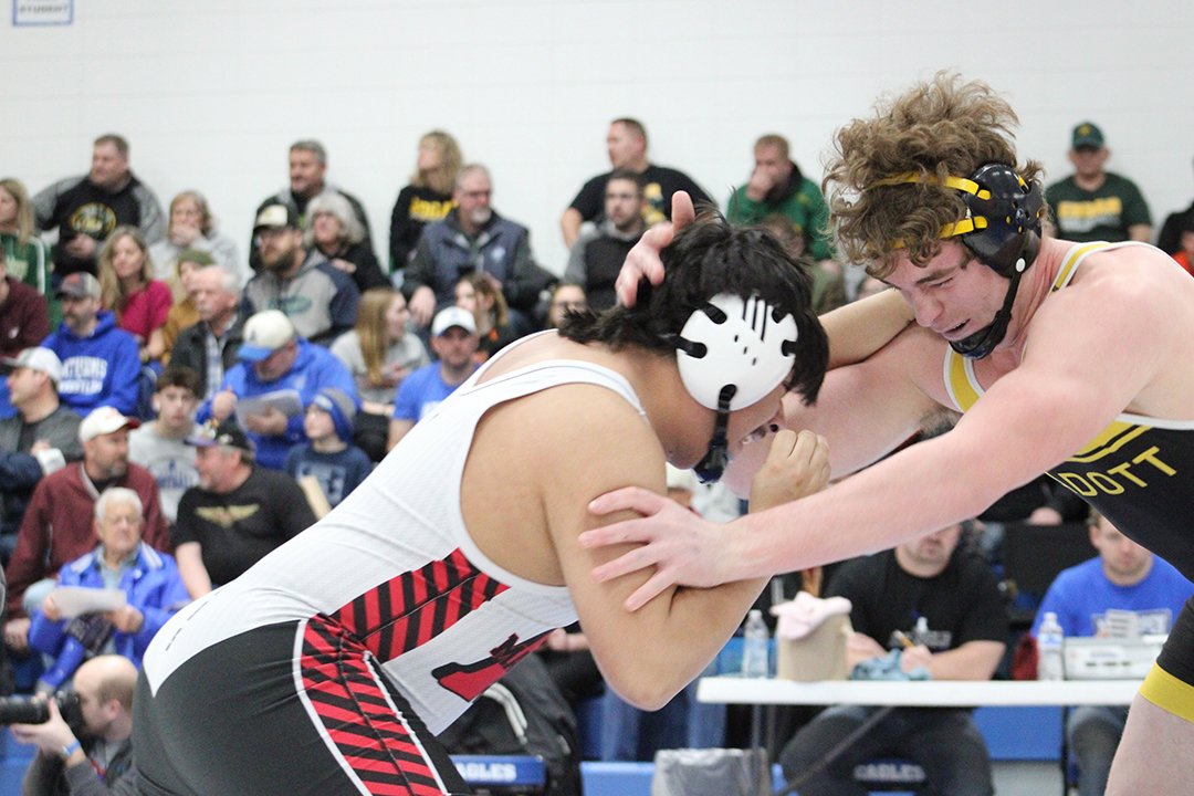 Four moving on for Hornets