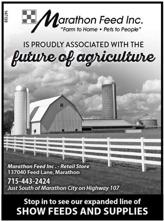 recordgleaner_20240221_trg-2024-02-21-b-009_art_2.xml