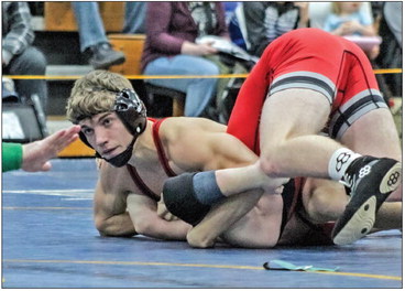 Halopka punches ticket to state tourney