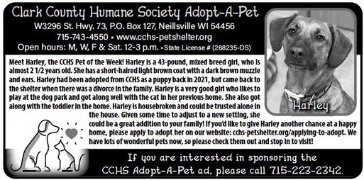 recordgleaner_20240306_trg-2024-03-06-0-010_art_2.xml