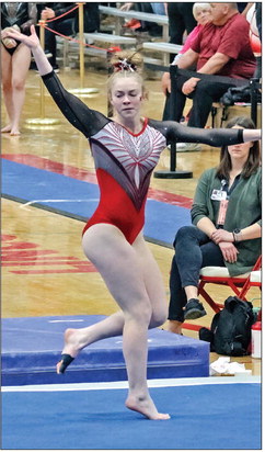 State gymnastics
