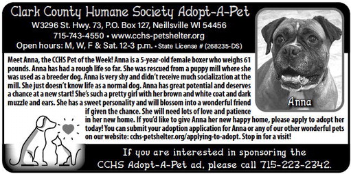 recordgleaner_20240313_trg-2024-03-13-0-016_art_2.xml