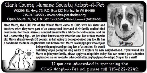 recordgleaner_20240403_trg-2024-04-03-0-008_art_2.xml