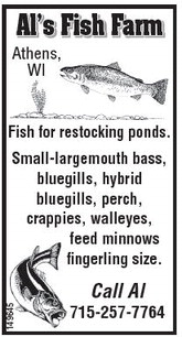 starnews_20240411_tsn-2024-04-11-a-011_art_2.xml