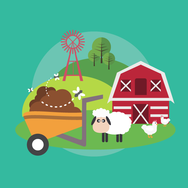 Check runoff risk before any manure applications Check runoff risk before any manure applications