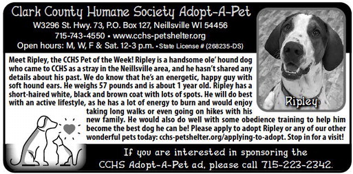 recordgleaner_20240529_trg-2024-05-29-a-020_art_2.xml