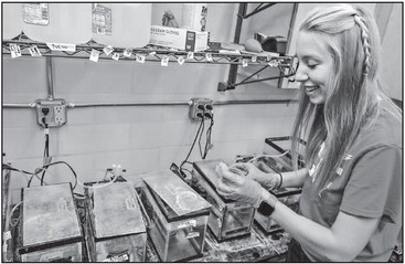 Athens native gets paper published in scientific journal