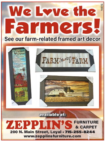 recordreview_20240612_trr-2024-06-12-b-008_art_3.xml