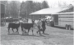 Celebrate dairy industry as a cornerstone of rural Wisconsin