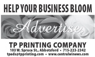 recordreview_20240626_trr-2024-06-26-0-002_art_2.xml