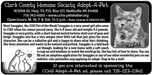 recordgleaner_20240619_trg-2024-06-19-0-009_art_2.xml