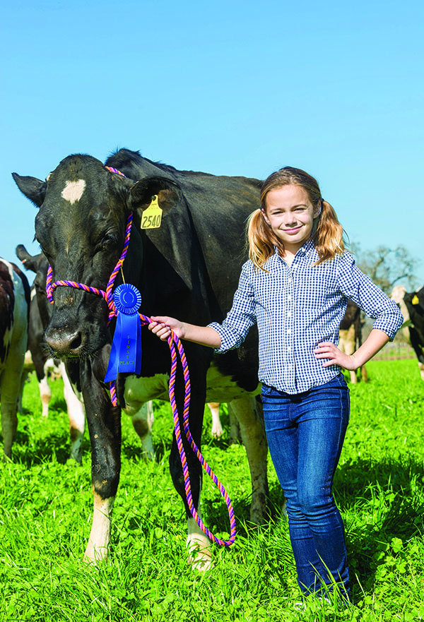 New precautions in place for showing fair animals