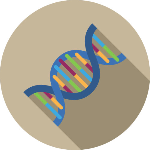 Future of Staffordshire terrier depends on DNA