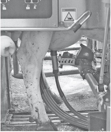 The futuristic present: dairy technology