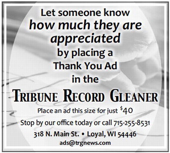 recordgleaner_20240619_trg-2024-06-19-0-003_art_5.xml