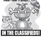 recordgleaner_20240703_trg-2024-07-03-0-015_art_1.xml