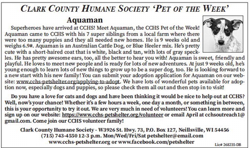 tribunephonograph_20240717_ttp-2024-07-17-a-012_art_9.xml