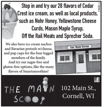 recordreview_20240717_trr-2024-07-17-b-020_art_4.xml