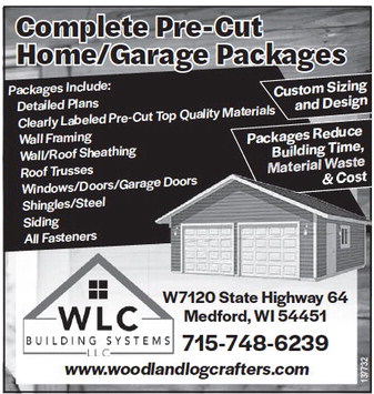 recordgleaner_20240717_trg-2024-07-17-b-006_art_3.xml