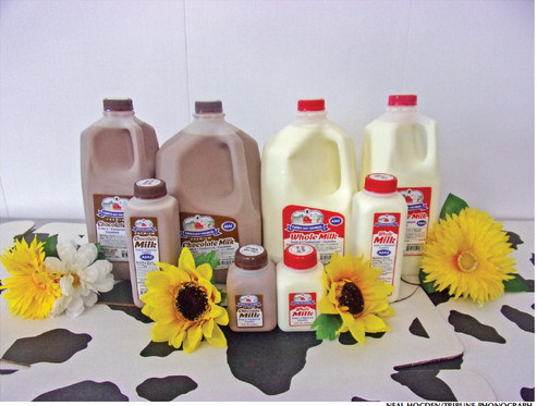 Farmer Boy Creamery creates fresh, digestible milk in  Dorchester